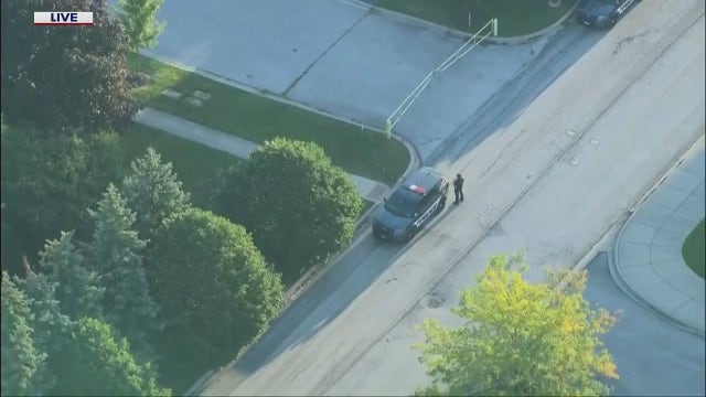 3 in custody after chase, crash in Chicago's south suburbs