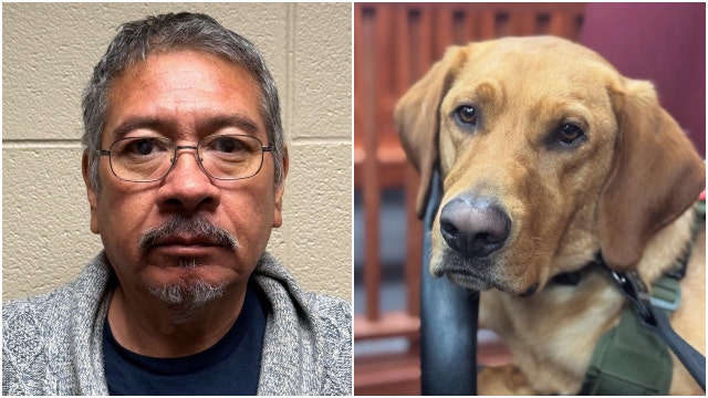 Illinois K9 helps discover cache of child porn, leading to arrest