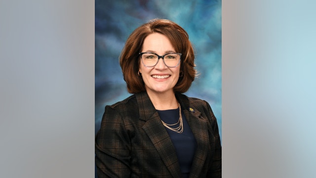 Shot fired at Illinois state senator's home, suspect in custody