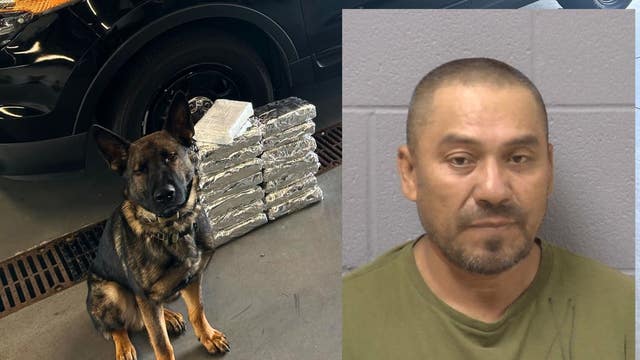 Will County police nab 15kg of cocaine during traffic stop, sheriff says