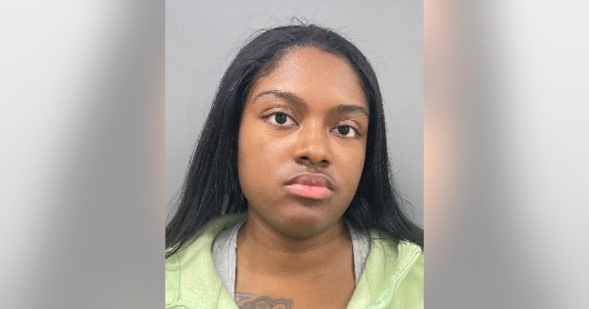 Suburban Chicago woman charged in fatal I-57 hit-and-run crash | FOX 32 ...