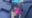 Video shows ICE agents pulling women from SUV in West Loop