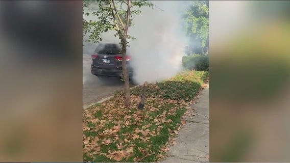 Outrage after federal agents use tear gas just before Halloween parade in Old Irving Park
