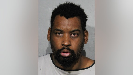 Cook County man accused in attacks against women sentenced for assaulting police officer