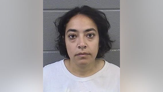 University of Chicago professor charged with felonies after ICE protests in Broadview