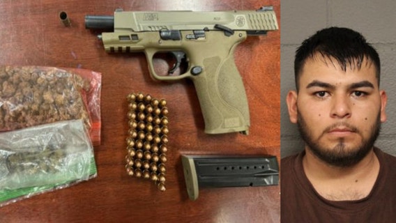 Suburban Chicago man found with loaded gun, ammo and weed during traffic stop, police say