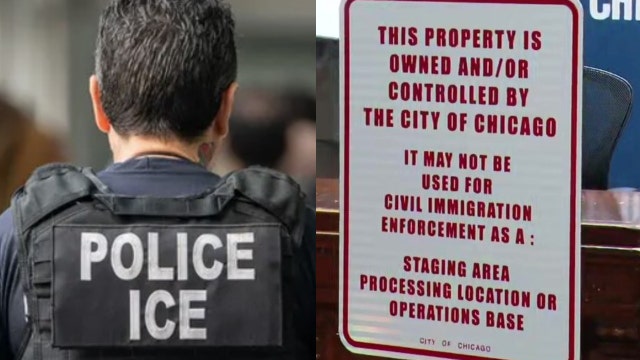 Chicago establishes ICE-free zones: Here's what we know