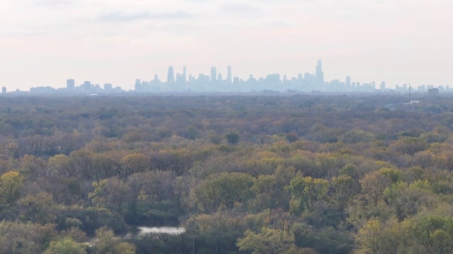 Fall comfort continues in Chicago with mild temps, sunshine through Halloween