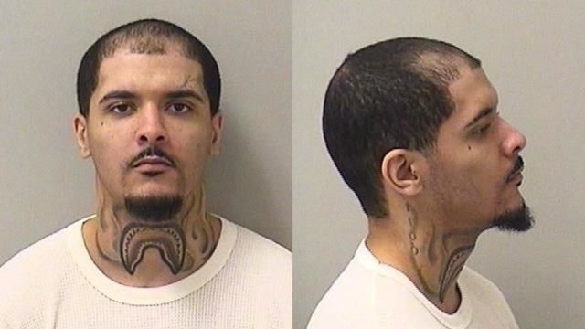 Illinois jury convicts suburban Chicago man of murder after road rage shooting