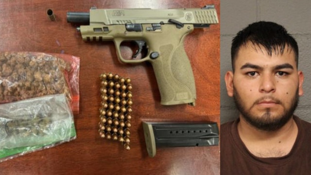 Suburban Chicago man found with loaded gun, ammo and weed during traffic stop, police say
