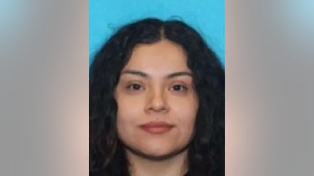 Chicago woman shot by Border Patrol, accused of ramming agents with car to appear in court