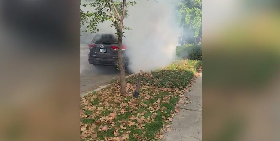 Outrage after federal agents use tear gas just before Halloween parade in Old Irving Park