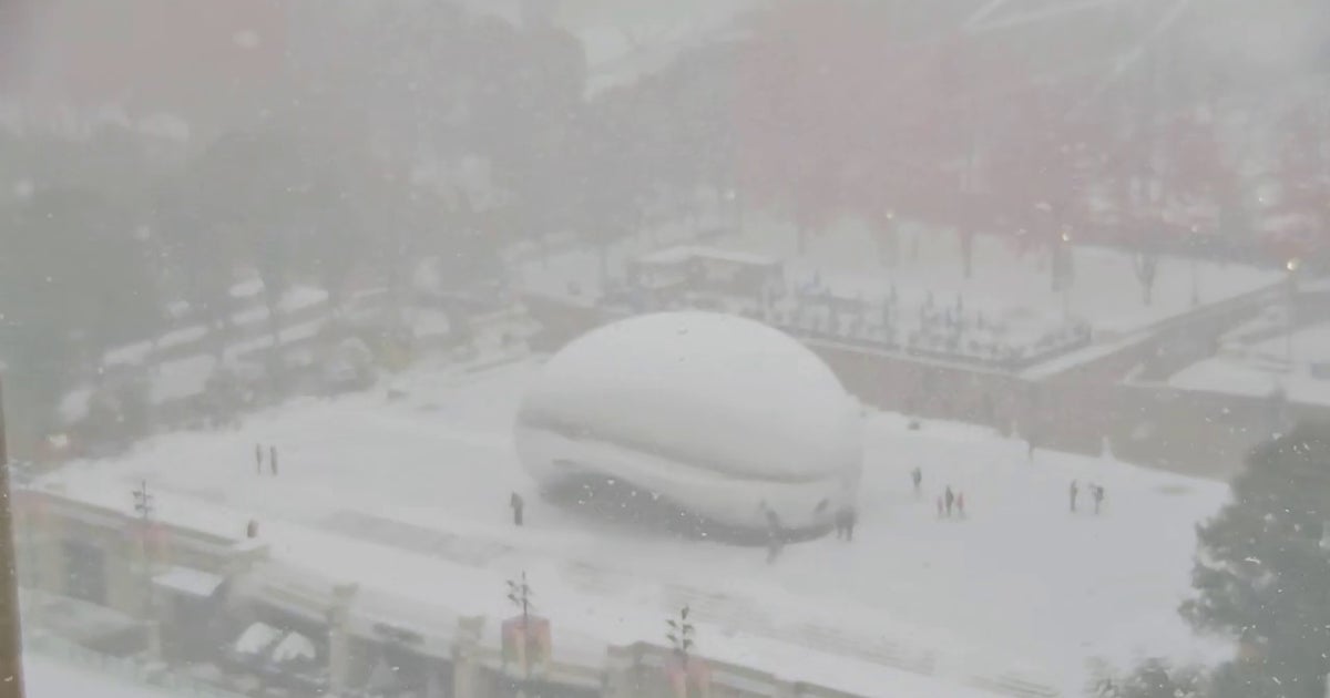 Chicago area hit with snow squall warning; ground stops issued at O'Hare Airport