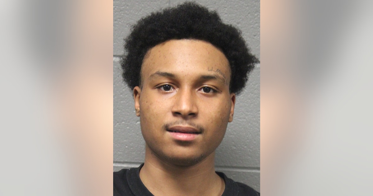 Chicago man arrested 10 months after CTA robberies and assaults, police ...