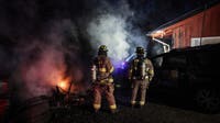 Dozens of chickens killed in IL barn fire, officials say
