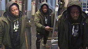 Man sought after hitting and robbing young woman on Chicago CTA train, police say