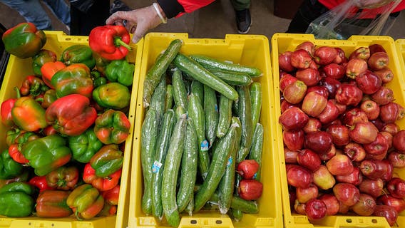 SNAP benefits remain on hold for 2M Illinoisans despite court rulings, agency says