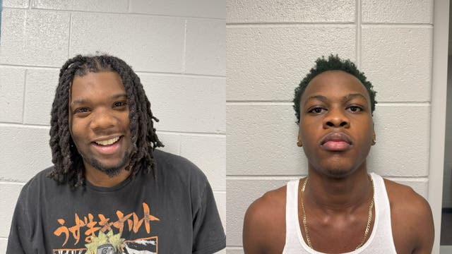 Two teens charged after shots fired outside residence in unincorporated Grayslake