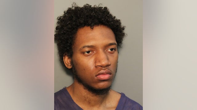 Cook County man charged with brother's murder at their home, police say