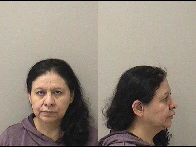 Elgin woman sentenced to two decades in prison in severe child abuse case
