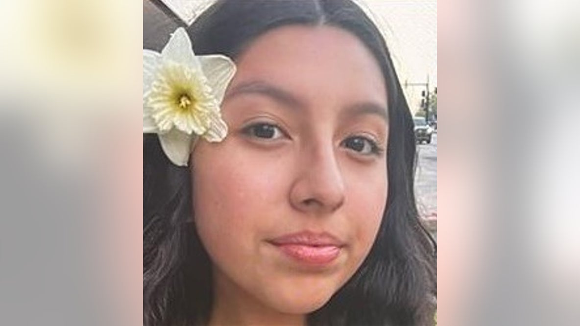 Isabella Barraza: Cook County teen reported missing on Christmas Day
