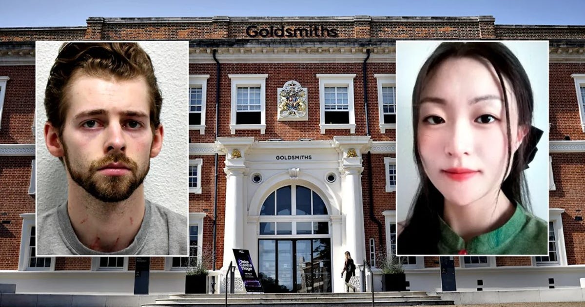 Chicago man accused of stabbing, choking UK woman then calling dad for ...