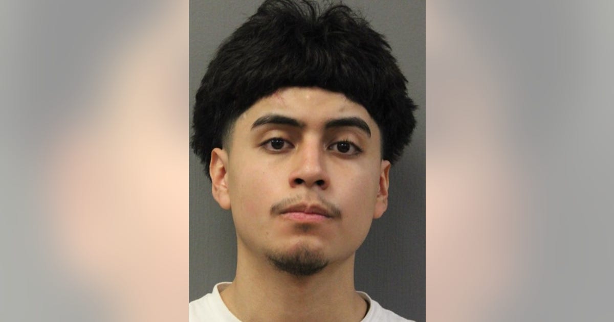 Chicago man charged with robbing 19-year-old woman at gunpoint | FOX 32 ...