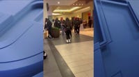 Fights at Joliet mall end in pair of arrests