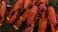 $400K lobster shipment hijacked en route to Illinois Costco locations