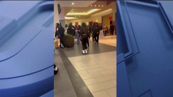 Fights at Joliet mall end in pair of arrests