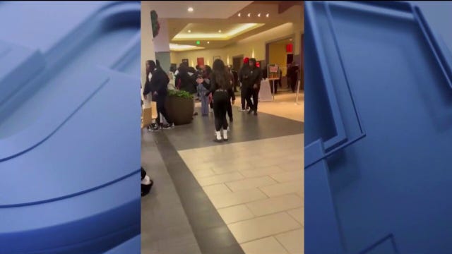 Fights at Joliet mall end in pair of arrests