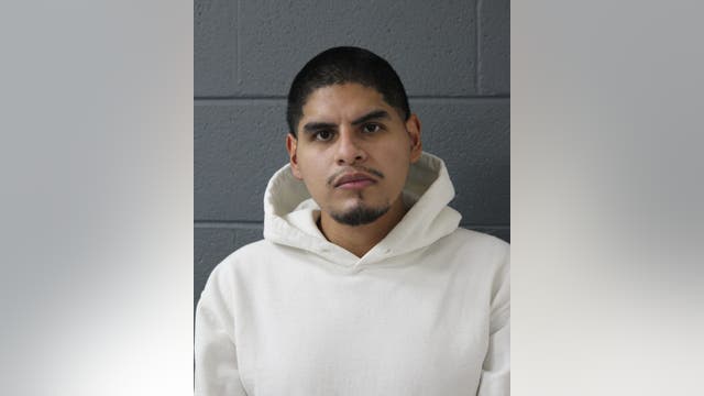 Suburban Chicago man charged with stabbing 73-year-old uncle to death