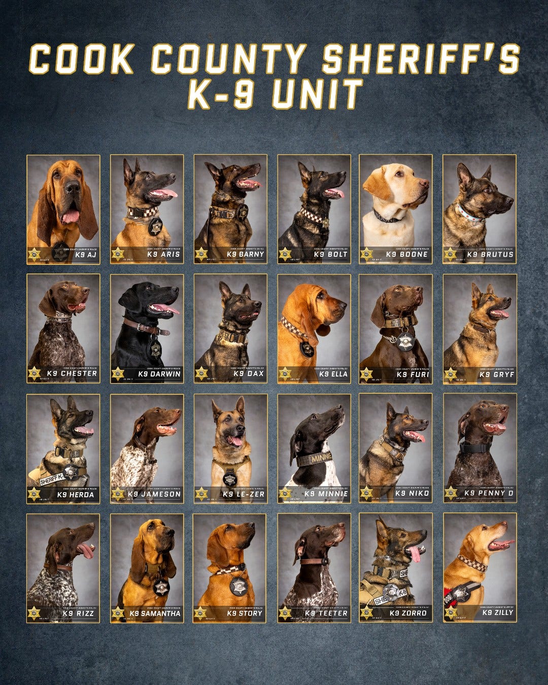 Cook County Sheriff’s K-9 Unit features 24 trained dogs ready for duty