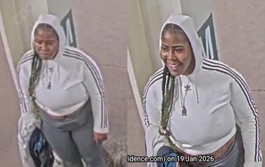 Woman accused of robbing, attacking CTA Red Line passenger sought by police