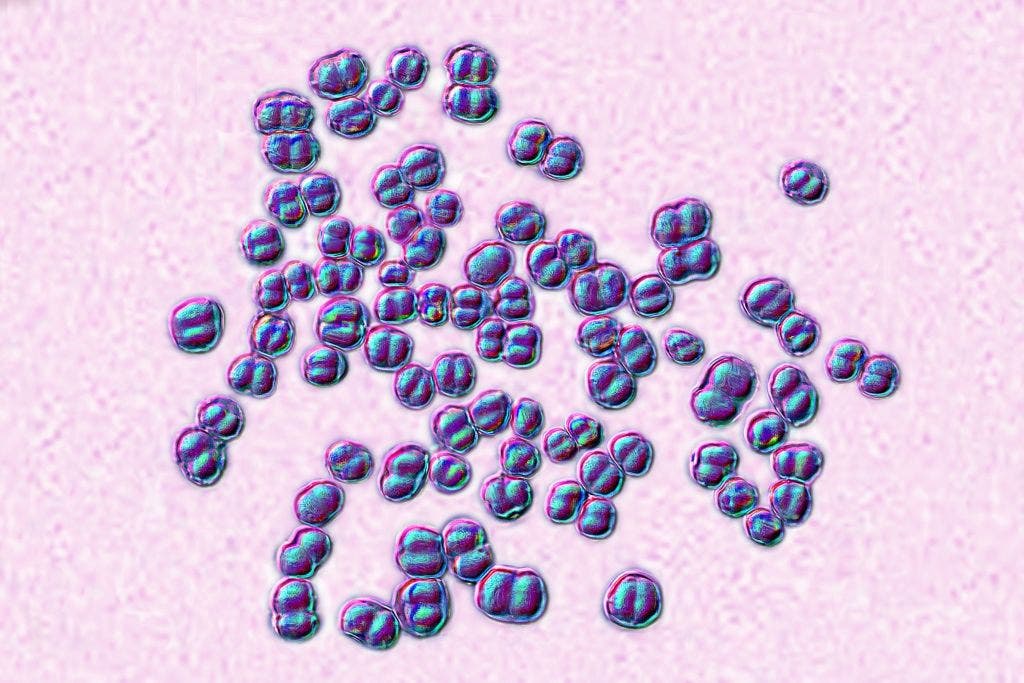 7 meningitis cases reported in Chicago this month, including 2 deaths