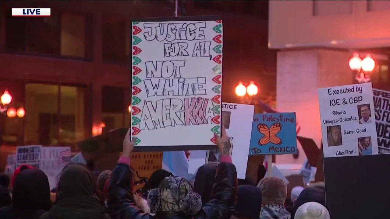 Hundreds rally at Daley Plaza for National Shutdown Day
