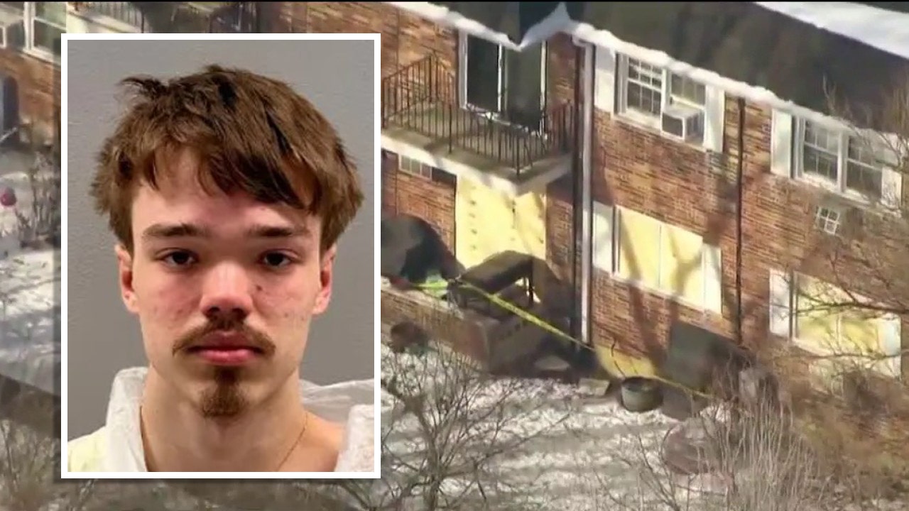 Man charged in Downers Grove apartment fire that killed pregnant woman heads to court