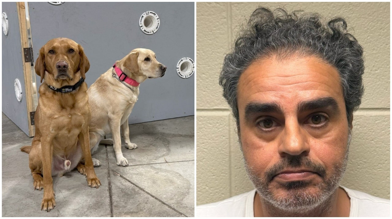 Suburban Chicago man charged with child porn after K9 bust: 'Deeply disturbing'