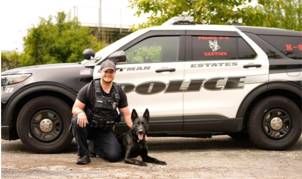 Hoffman Estates Police K9 Ajax returns to duty after injury
