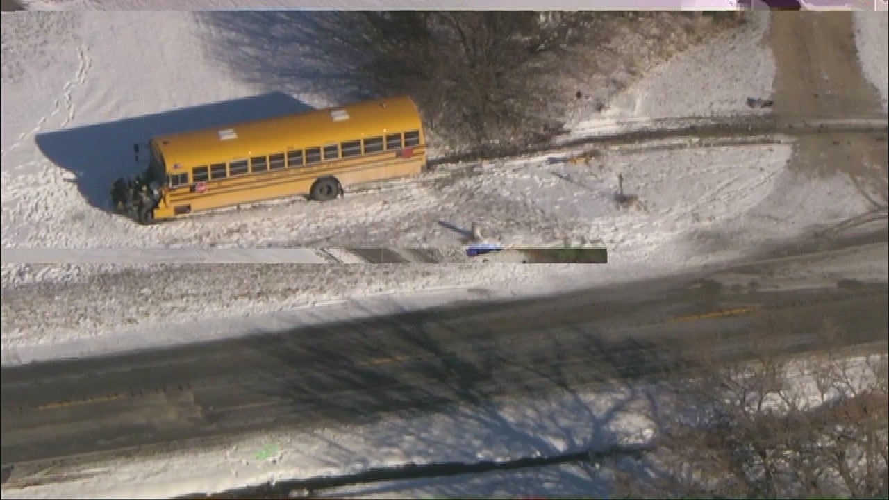 Driver killed after car collides with school bus in Will County