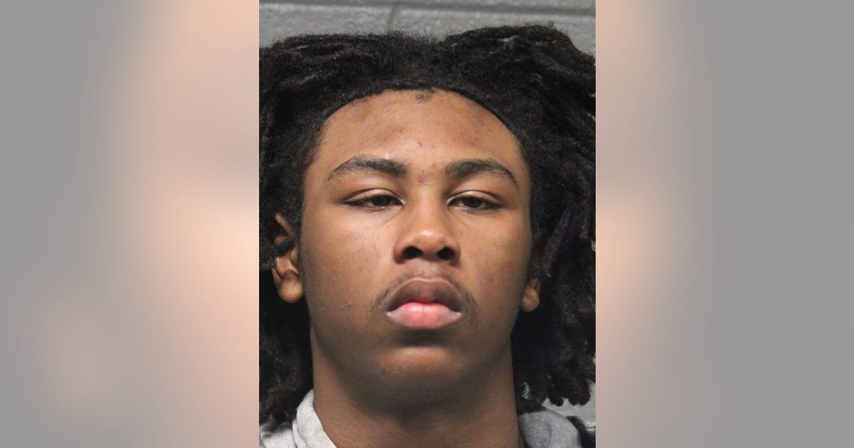 Suburban Chicago man charged in violent CTA robbery | FOX 32 Chicago