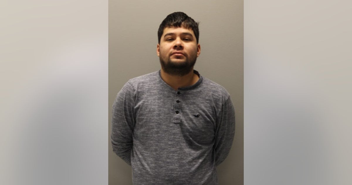 Suburban Chicago man charged in deadly hit-and-run crash, police say