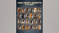 Cook County Sheriff’s K-9 Unit features 24 trained dogs ready for duty
