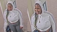 Woman accused of robbing, attacking CTA Red Line passenger sought by police