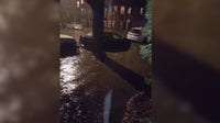 Record January rainfall floods Chicago streets, residents step in to clear drains