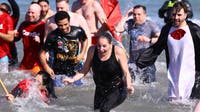 Things to do in Chicago this weekend — Chicago Polar Plunge, Mac and Cheese Fest
