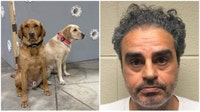 Suburban Chicago man charged with child porn after K9 bust: 'Deeply disturbing'