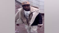 Chicago CTA rider punched and robbed, police seek suspect