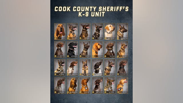 Cook County Sheriff’s K-9 Unit features 24 trained dogs ready for duty