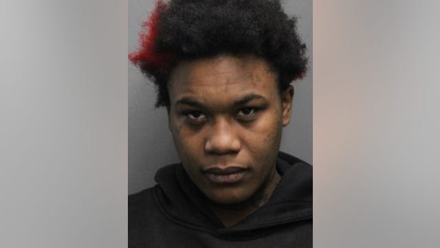 Chicago woman charged in CTA train stabbing